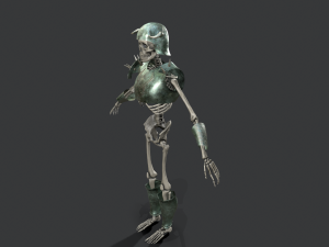 skeleton warrior 3 3D Model
