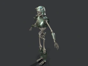 skeleton warrior 3 3D Model