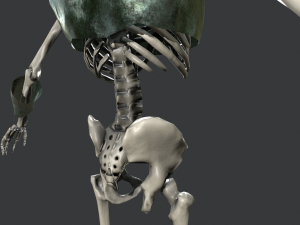 skeleton warrior 3 3D Model