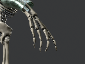 skeleton warrior 3 3D Model
