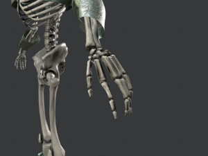 skeleton warrior 3 3D Model