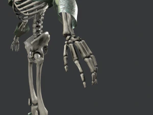 skeleton warrior 3 3D Model