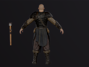 Viking 2 Model 3D