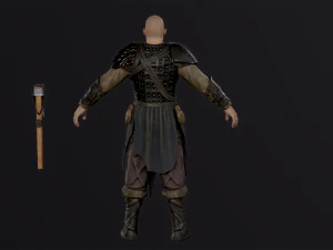Viking 2 3D Model