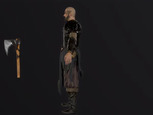 Viking 2 3D Model