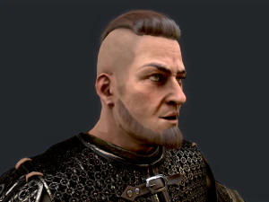 Viking 4 3D Model