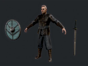 Viking 4 3D Model