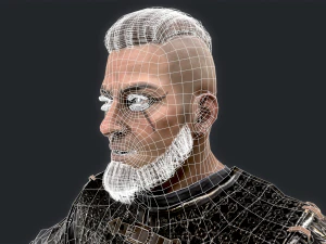 Viking 4 3D Model