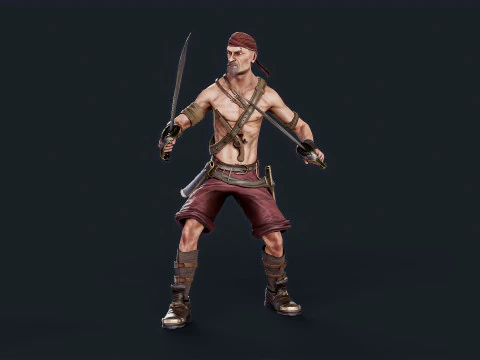 Pirate 2 3D Model