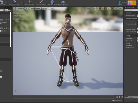 Pirate 2 3D Модель