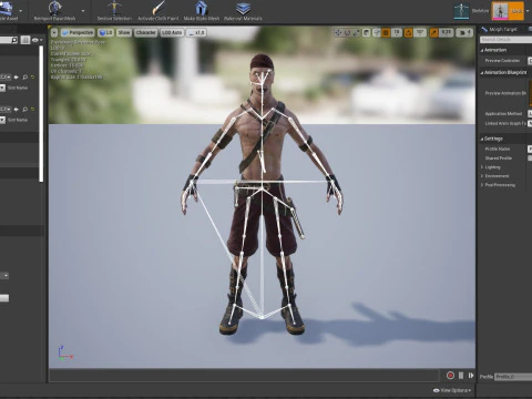 Pirate 2 3D Model