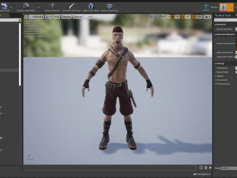 Pirate 2 3D Model