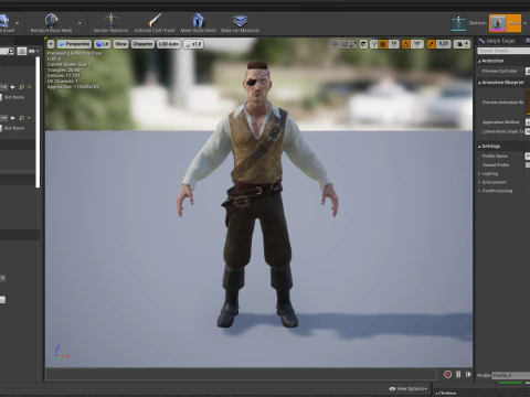 Pirate 3 3D Model