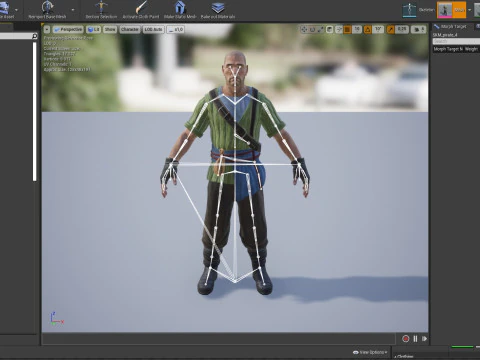 Pirate 4 3D Model