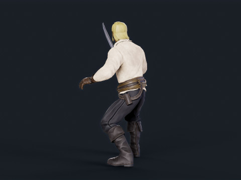 Pirate 8 Model 3D