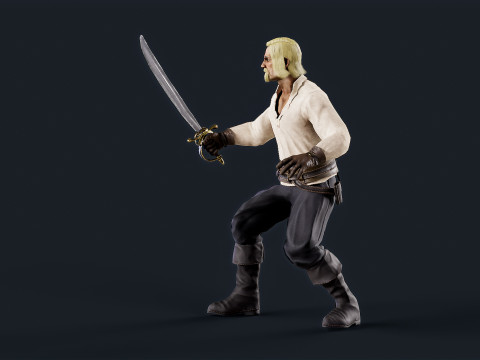 Pirate 8 Model 3D