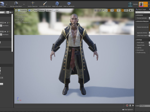 Pirate Captain Model 3D