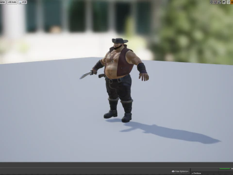 Pirate chef 3D Model
