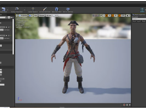 Pirate R 1 3D Model