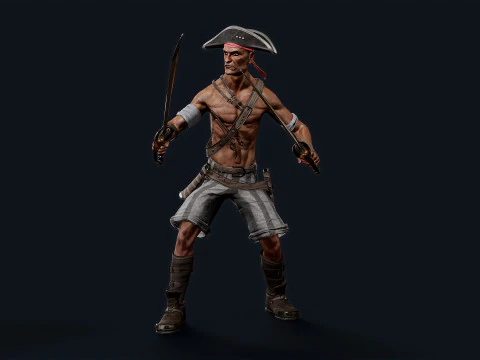 Pirate R2 3D Model