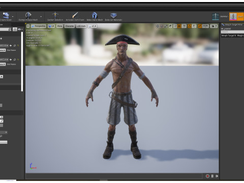 Pirate R2 3D Model