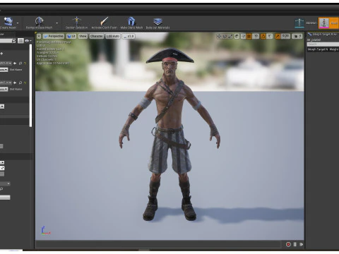 Pirate R2 3D Model