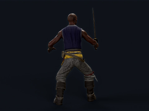 PIRATE R4 Model 3D