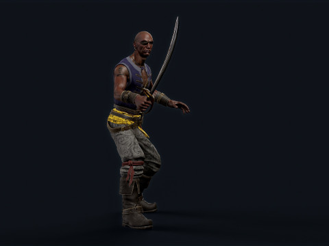 PIRATE R4 Model 3D
