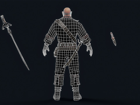 PIRATE R 5 3D Model