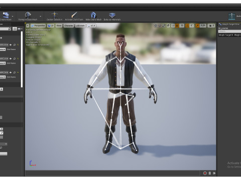 PIRATE R6 Model 3D