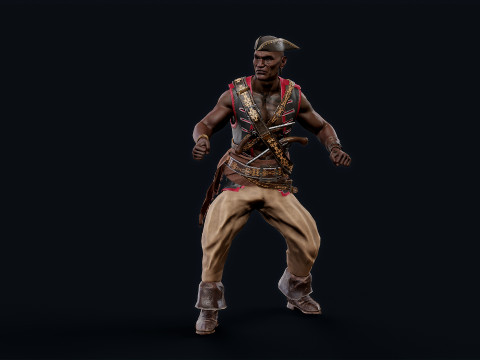 PIRATE R7 Modèle 3D