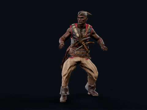 PIRATE R7 3D Model