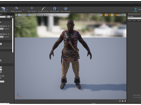 PIRATE R7 Modèle 3D