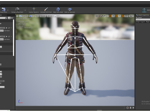 PIRATE R7 Modèle 3D