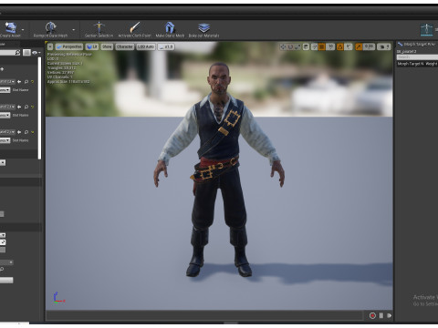 PIRATE R12 Modello 3D