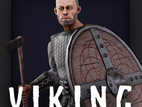 VIKING R 3 3D Model