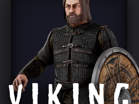 VIKING 3 B 3D Model