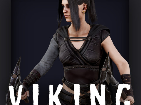 Viking 5 B 3D Модель