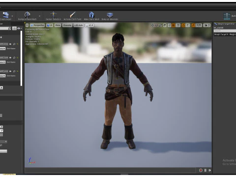 PIRATE 8 3D Model