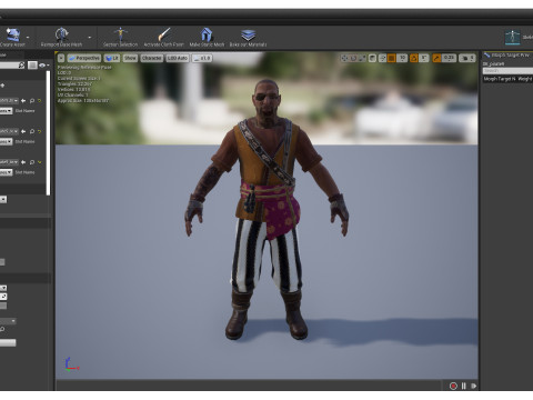 PIRATE 9R Modelo 3D