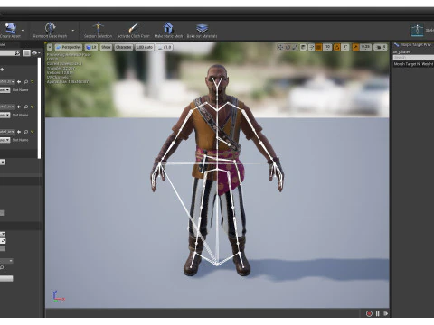 PIRATE 9R 3D Model