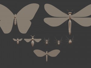 insect - package 8 3D Model