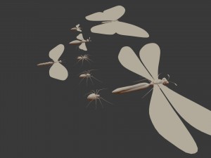 insect - package 8 Modèle 3D