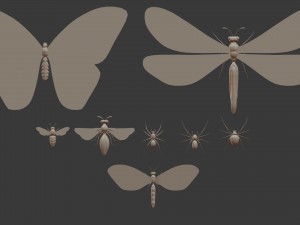 insect - package 8 Modèle 3D