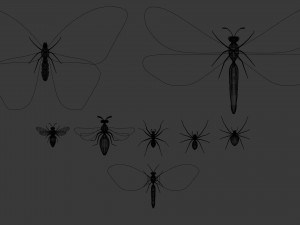 insect - package 8 Modèle 3D