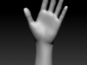 hand pose 3D-printmodel