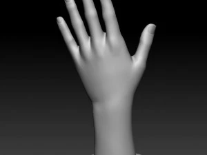 hand pose 3D Print Model