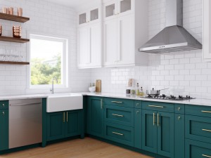 green kitchen 3D Model