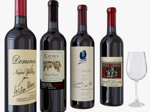 wine bottle Modelo 3D