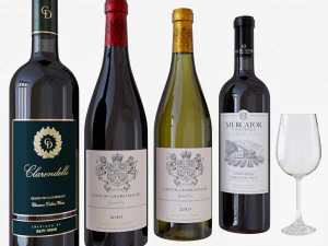 wine bottle set 2 3D Model